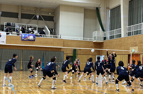 和歌山県女性スポーツ連盟 バレーボール大会等の運営費